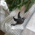 Hcfb6778b10104810ae4ca2cb35a9fc57K