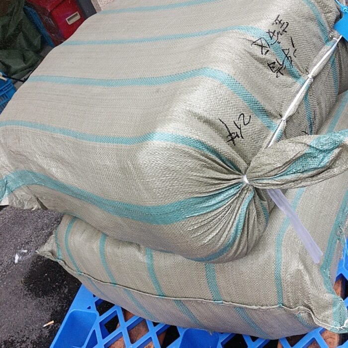 11-06-2024_1718106669_HJ3Y4QQVOS3PL3O6P4S