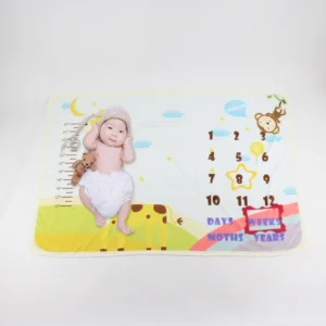 Baby Milestone Blanket